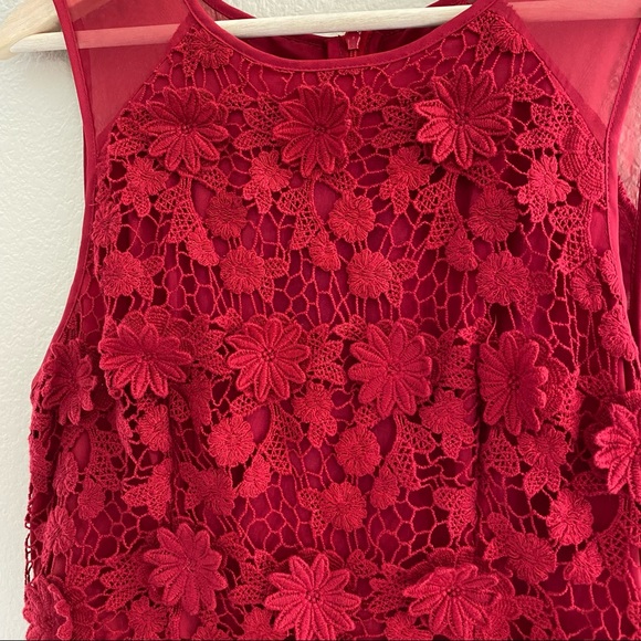 Thistlepearl Urban Outfitters Bella Rosa Crochet Shift Dress - Picture 3 of 12